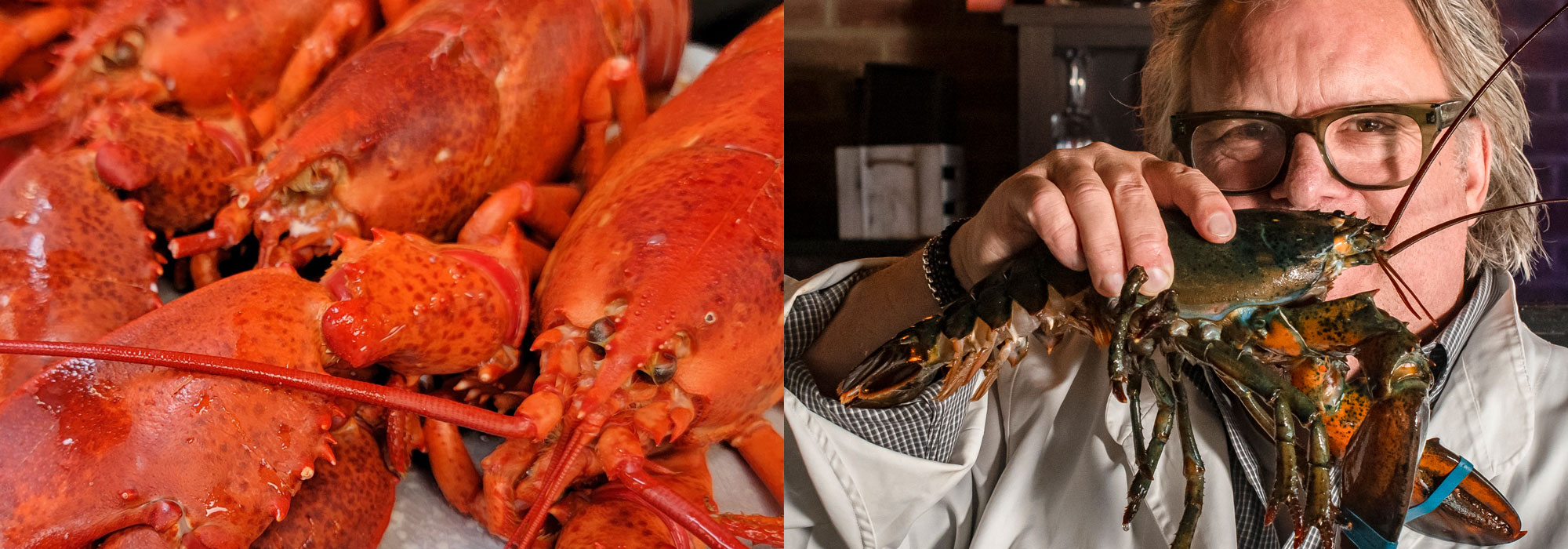 Lobsters at Drifthouse by David Burke, Chef Burke with a lobster