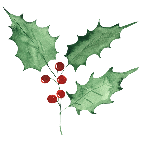 Holly leaves and berries